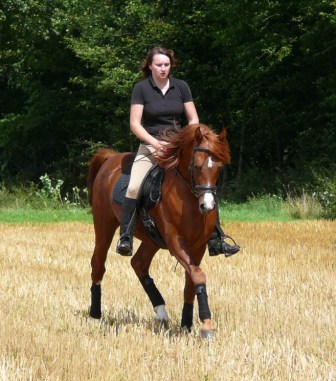 SRF Barolo